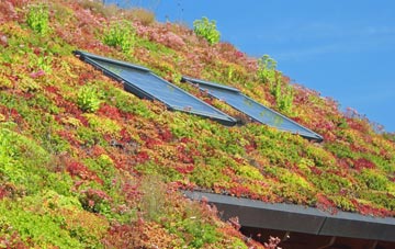 Blencogo living roof systems