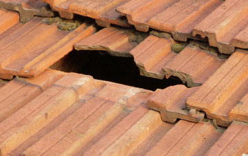 roof repair Blencogo, Cumbria